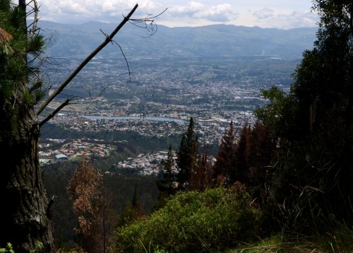 Bellavista