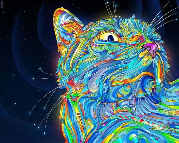 psycat