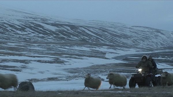 gal rams 1
