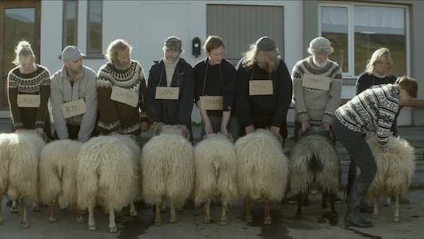 gal rams 3