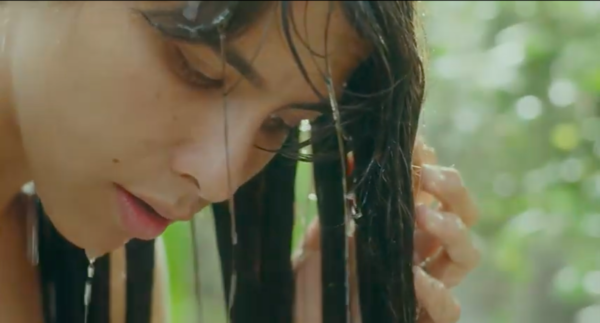 el despertar de las hormigas