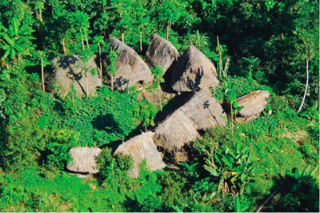 pueblos indígenas