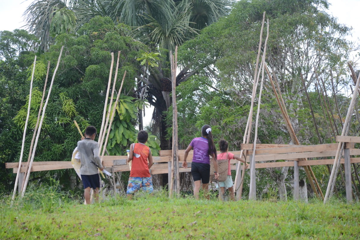 pueblos indígenas