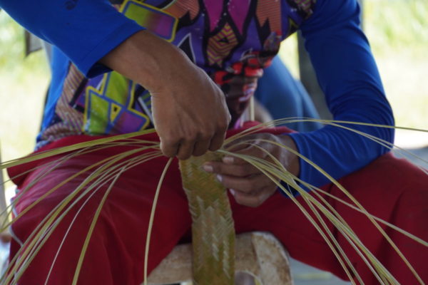 pueblos indígenas