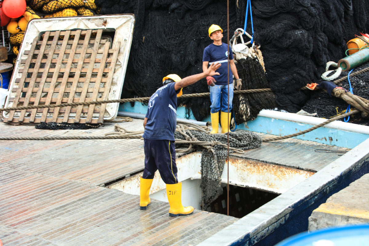 pesca incidental