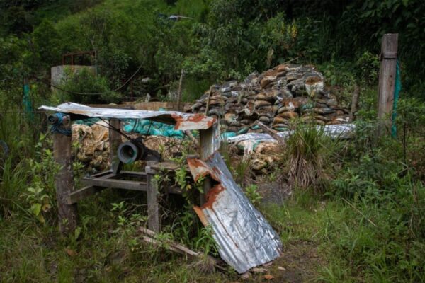 Guillermo Lasso medio ambiente