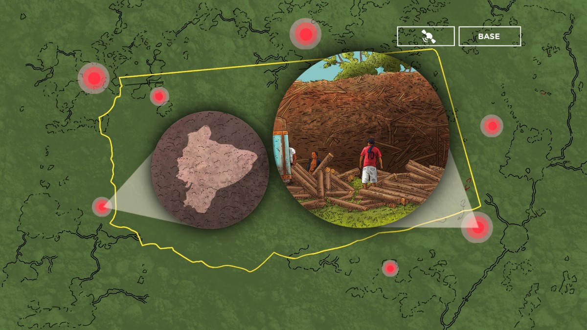 Mapas del delito