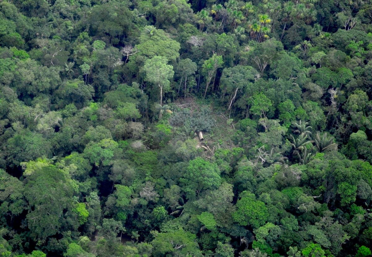 Ley Pueblos Indígenas Aislados