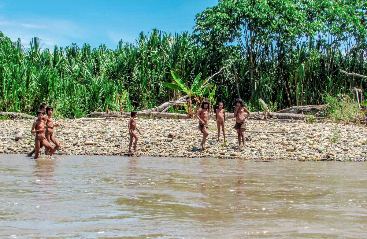 Ley Pueblos Indígenas Aislados