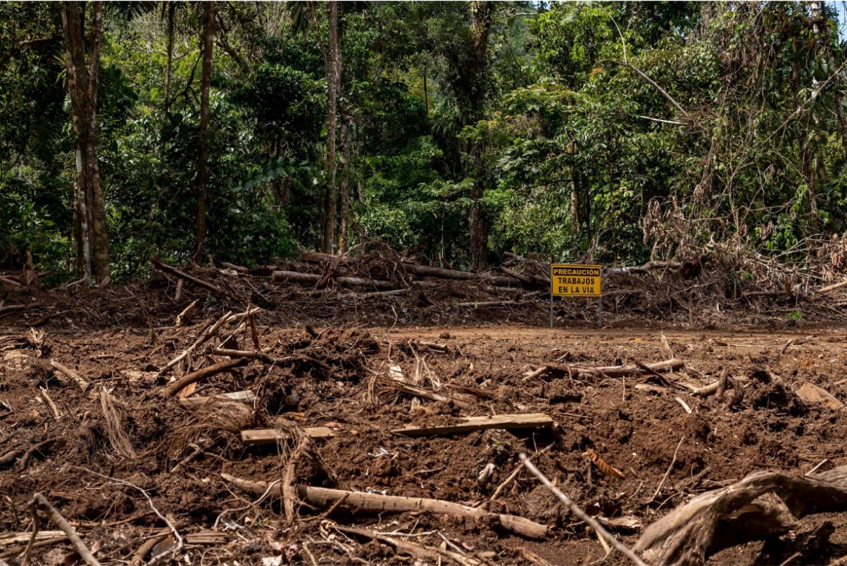 Nuevos caminos deforestan territorio waorani