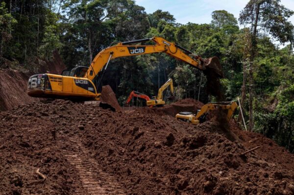 Nuevos caminos deforestan territorio waorani