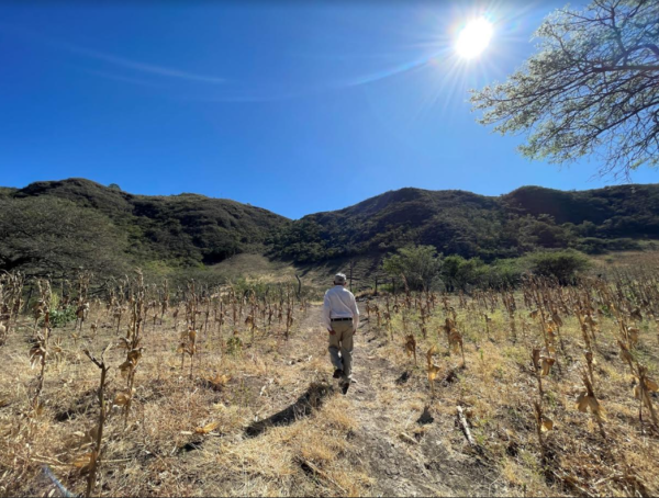 Día Mundial del Medio Ambiente